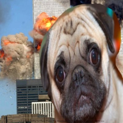 Plewtoe's profile picture. just a happy person:)