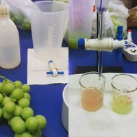 AgroDataEnsayos (@agrodataensayos) 's Twitter Profile