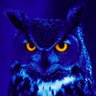 DelayedSleeper's profile picture. Night Owl advocating for DSWPD. Board member of @NIH’s SDRAB and @CSD_N, chapter leader for Start School Later-Texas, speaker at Stanford MedX and SLEEP 2023