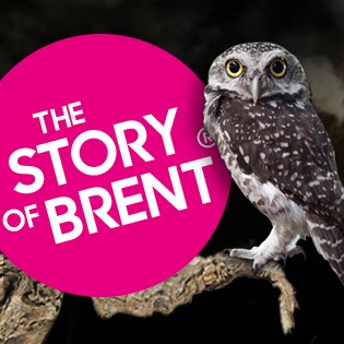 thestoryofbrent's profile picture. Specialized in branding and marketing strategies, communication and films. Presents news on marketing, brands, design, social media, SEO, gadgets and more...