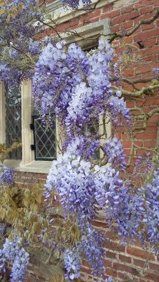 Hubbards55's profile picture. 