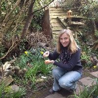 Helen Smith - The Gardening Potter (@helen21206699) 's Twitter Profile Photo Helen Smith - The Gardening Potter (@helen21206699) 's Twitter Profile Photo