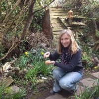 Helen Smith - The Gardening Potter(@helen21206699) 's Twitter Profileg