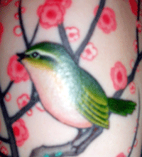 DeAnna she/her Profile