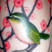 DeAnna she/her (@kalyx) 's Twitter Profile