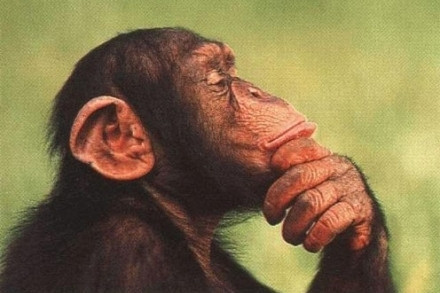 Erna___R's profile picture. 