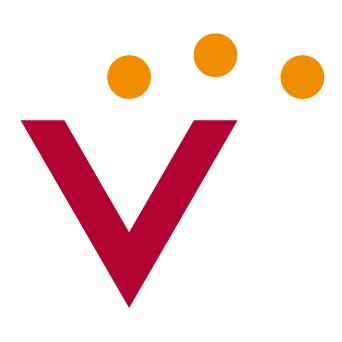 Fundació Escola Vicenciana - Centros Educativos