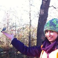 Teri Jones (@teri_bjones) 's Twitter Profile Photo Teri Jones (@teri_bjones) 's Twitter Profile Photo