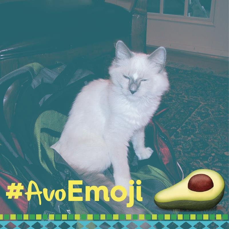 franksp12's profile picture. 