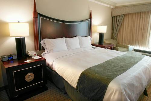 avistahotelfl's profile picture. Avista Hotels - offers the best Orlando Hotels from $49 visist our website http://t.co/aeZX8nE7 to get great Orlando Hotel Deals!