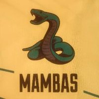 South African Mambas (@sa_mambas) 's Twitter Profile