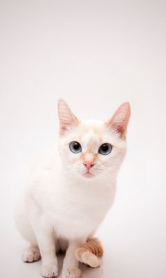 Прохождение игр,обзоры, советы.Топ игры,бесцеллеры и многое другое! #rufollowback