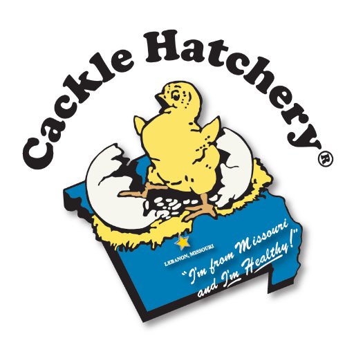 Chicken Hatchery specializing in hatching and shipping newly hatched pure-bred poultry to your local post office since 1936. Got Chicks® for Chick Season®