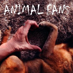 If you love animals, this is the place for you