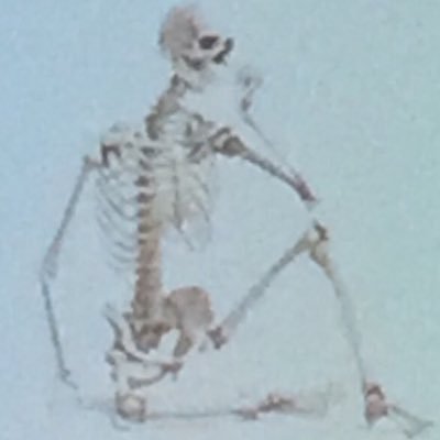 Nosamansour_'s profile picture. Veni, vidi, vixi.-VH