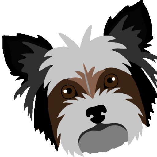 Shih Tzu Cute is a little website or community about Shih Tzu for Shih Tzu lovers, from training to care we talk about it all.