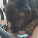 Craig Bartholomew - @ACC121103CRAB - Twitter