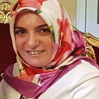 Nurmelek Danışmaz Akgün (@asudenurdanmaz) 's Twitter Profile