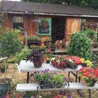 Shadyside Nursery (@shadysidenursry) 's Twitter Profile Photo Shadyside Nursery (@shadysidenursry) 's Twitter Profile Photo