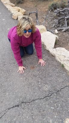 kellychap03's profile picture. 