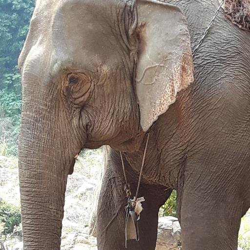 jeremie360's profile picture. 