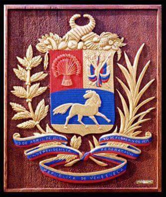 Venezolano,Caraquista,Demócrata,Antichavista,Atimadurista