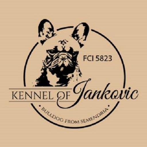 Owner Kennel of Jankovic