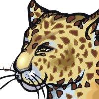 Mrs. Wenger (@lopezlibrary) 's Twitter Profile