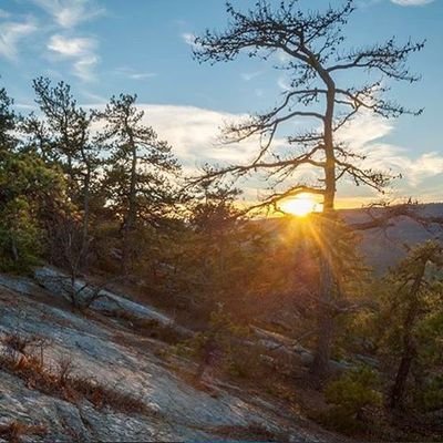 jrjdjoe's profile picture. See how you are?