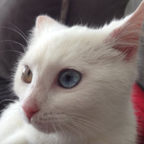 APTaskr's profile picture. 