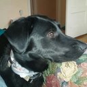 Tyler Guest - @TGuest17 - Twitter