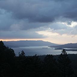 Baiyu_Shang's profile picture. 