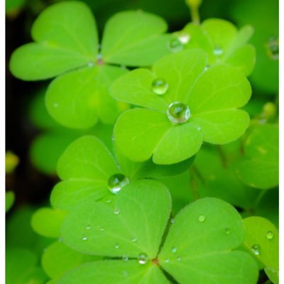 ElimagGloPez's profile picture. 