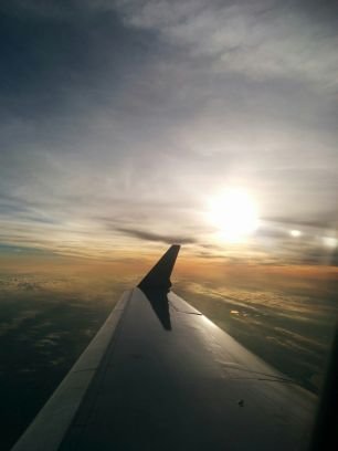 LearnTechDaily's profile picture. Everyday I learn something new and I'm going to share it with you