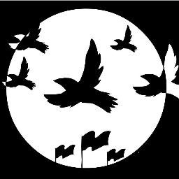 Pajaros_Noche's profile picture. 