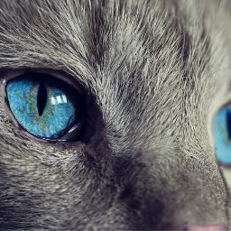 Georginaa_25's profile picture. 