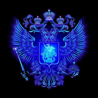 DNefyodov's profile picture. 