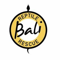 Bali Reptile Rescue(@breptilerescue) 's Twitter Profile Photo