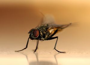 E_TestsRJunk's profile picture. 