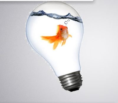 3dfiNet's profile picture. Agence spécialisée dans le digital. Développement de sites web (prestashop, angular, développement spécifiques). Communication réseaux sociaux. Formation.