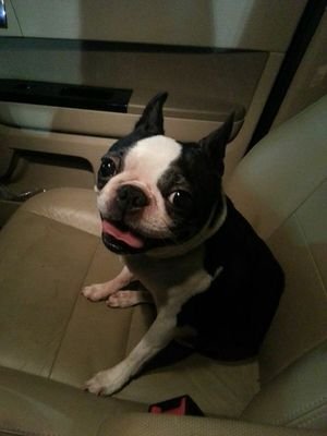 brianpwhitt's profile picture. Flyer fan, and the rest is less important