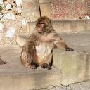 marcel carrier - @harrisontweed - Twitter