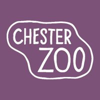 Chester Zoo Learning(@LearnatCZ) 's Twitter Profile Photo