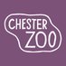 Chester Zoo Learning (@LearnatCZ) Twitter profile photo