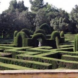 AlumnesLaberint's profile picture. 