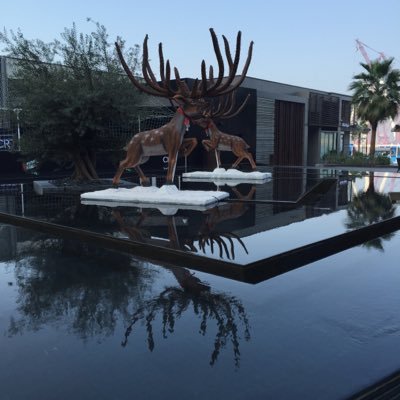 Shaminul_Imran's profile picture. 