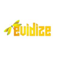 EVİDİZE (@evidize) 's Twitter Profile