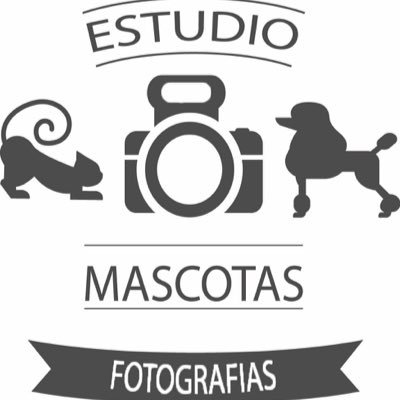 Apasionados por la fotografía y por nuestros pequeños amiguitos, nos encanta obtener lindas tomas y que tu mascota sea la más feliz
