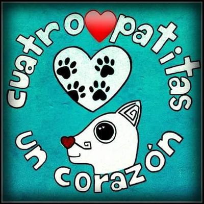 Somos un grupo de personas que busca concientizar a la sociedad sobre el respeto y trato digno a cualquier forma de vida.
