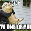 Owen Hogan - @owenhogan11 - Twitter